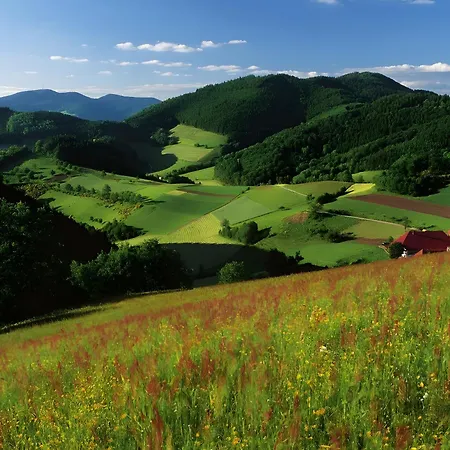 Apartamento Blumenweg *