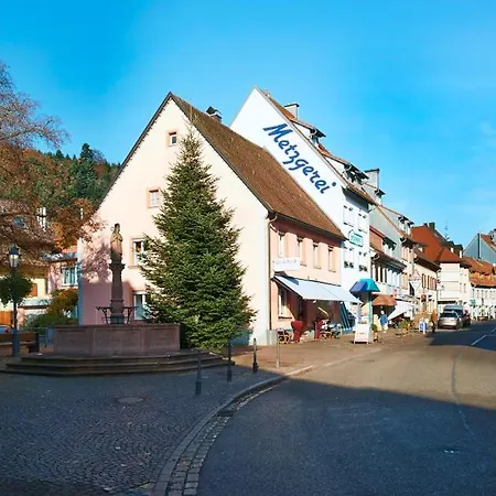Apartment Blumenweg Elzach