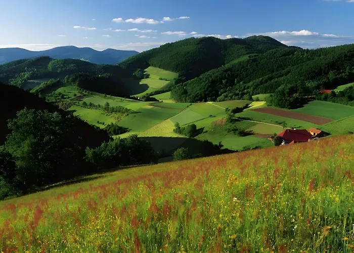 Appartement Blumenweg *